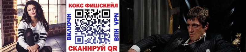 Купить где  Заводоуковск  COCAIN Fish Scale 