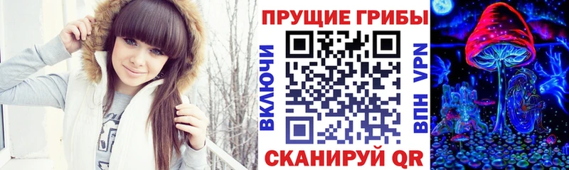Купить где  Заводоуковск  Псилоцибиновые грибы мухоморы 