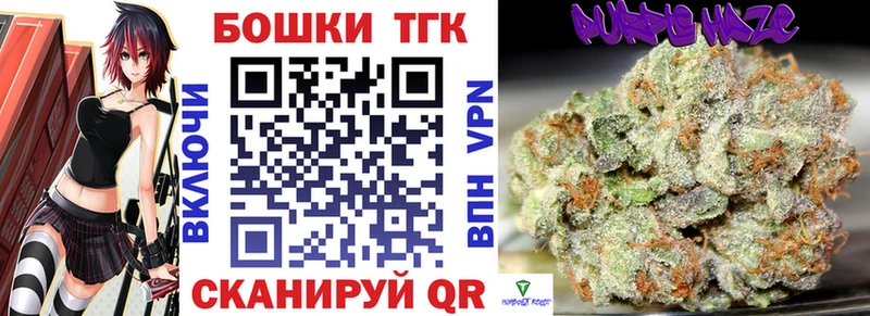 Купить закладки  Заводоуковск  Шишки марихуана планчик 